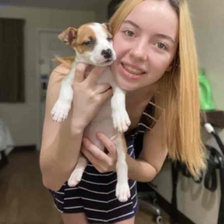 denise frazier dog video (7)